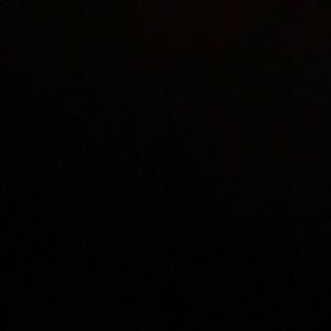 Meet your Posher, Daisy